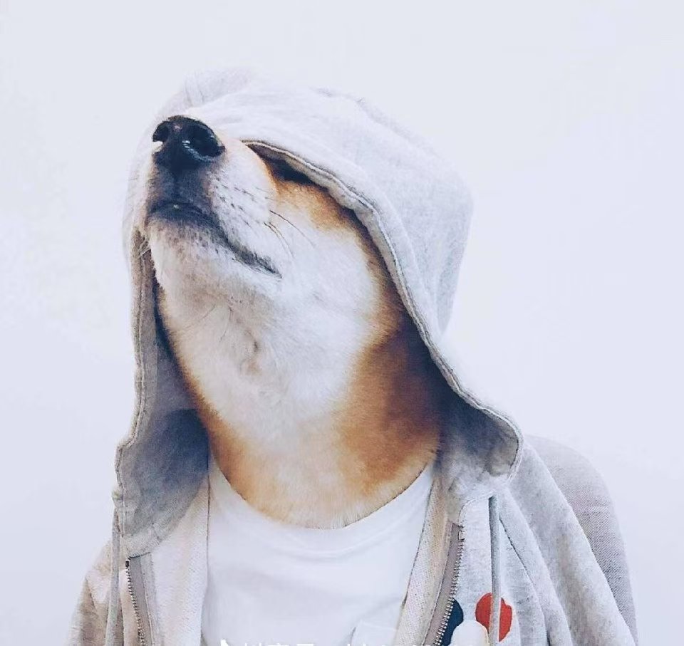 专属客服（所有福利折扣咨询客服领取）